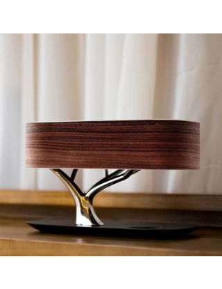 Huerizon Smart Night Lamp – Brazil Wood